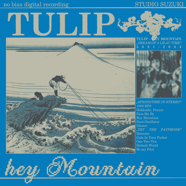 Tulip