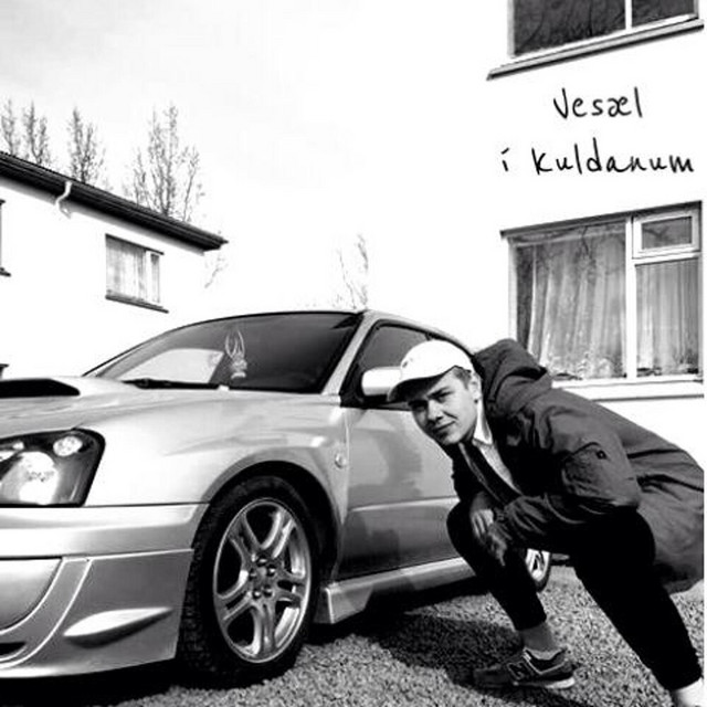 Vesæl Í Kuldanum cover art