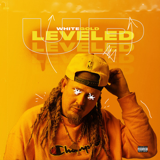 Leveled Up cover art