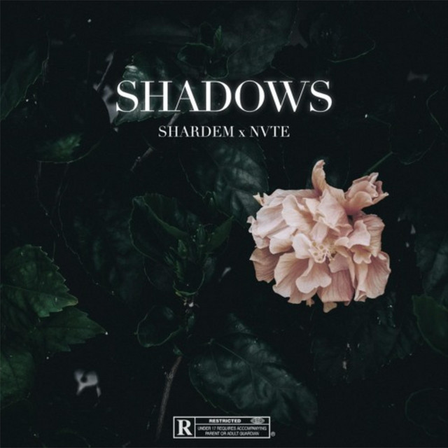 shadows cover art