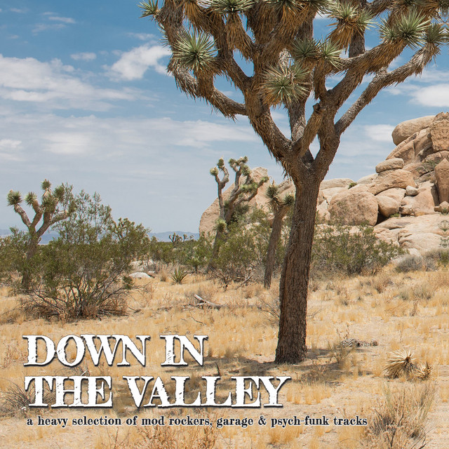 Down in the Valley cover