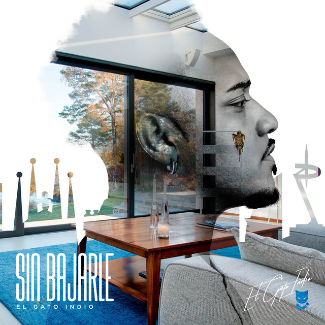 Sin Bajarle