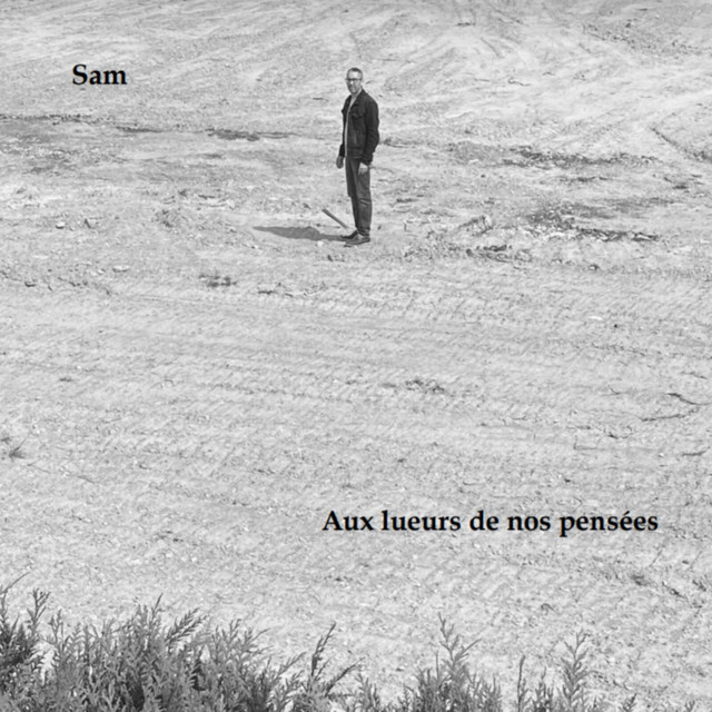 Aux lueurs de nos pensées cover art