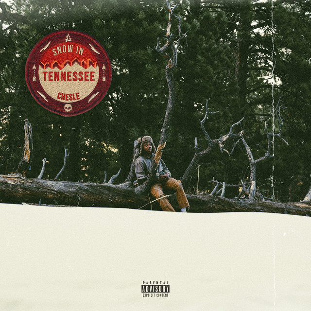 snow in tennessee cover art