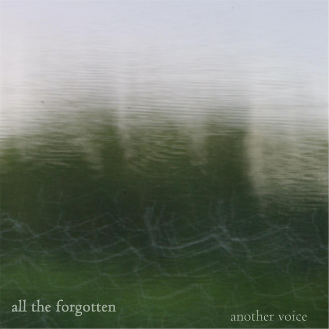 Another Voice cover
