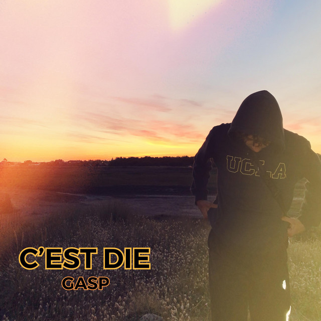 C'est die cover art