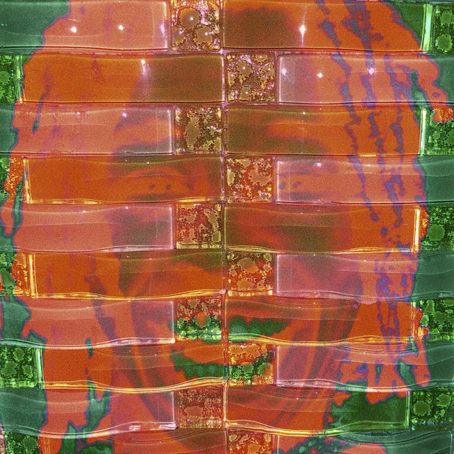 Swamp cover art
