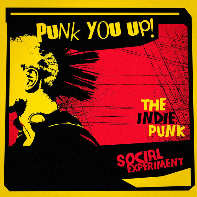 Punk You Up! The Indie Punk Social Experiment - Compilation by Various ...