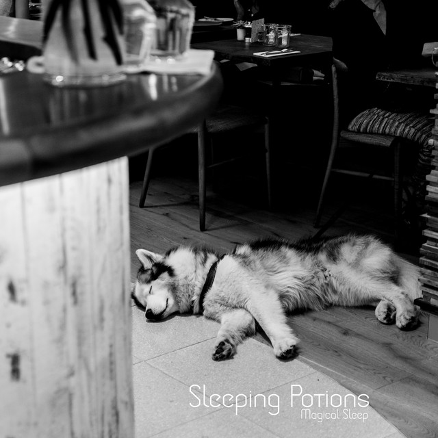 Magical Sleep