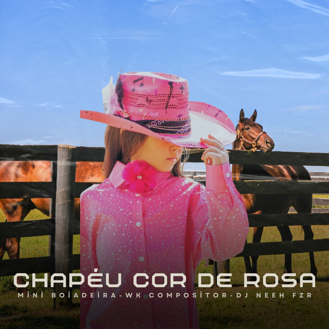 Chapéu Cor de Rosa