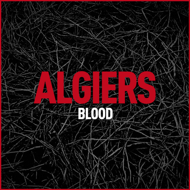 Blood