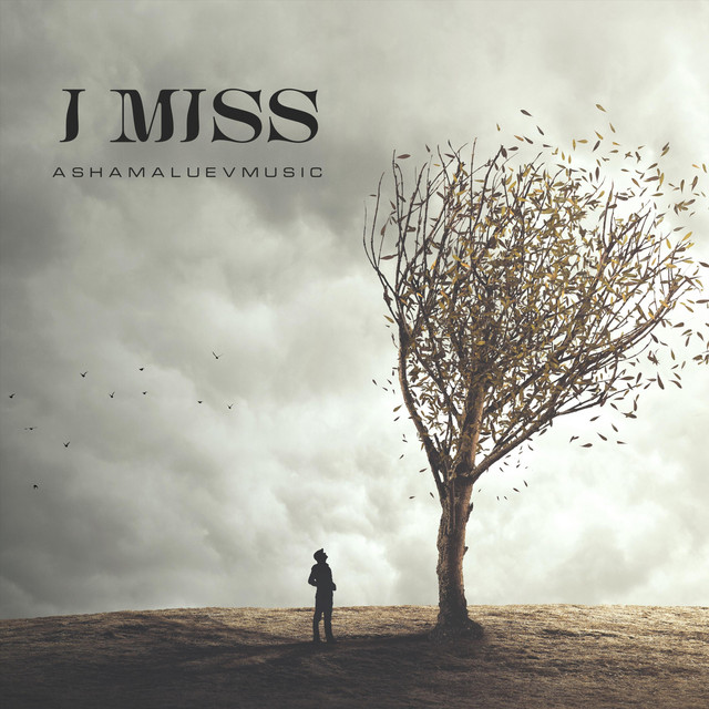 Обкладинка: I Miss — AShamaluevMusic