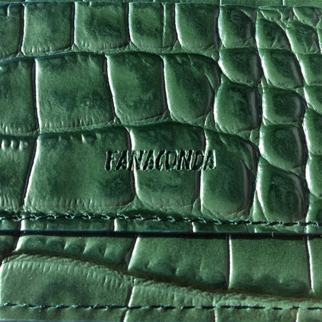 Fanaconda cover art
