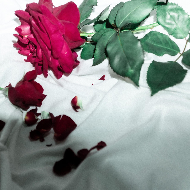 SOULFANTASMA cover art