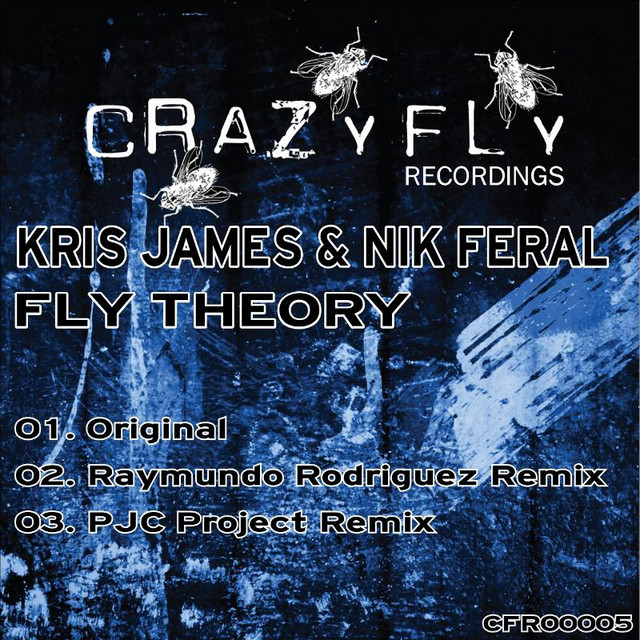 Fly Theory - Original cover art