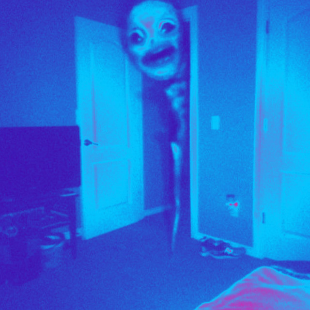 BFD cover art