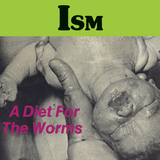 A Diet for the Worms cover art