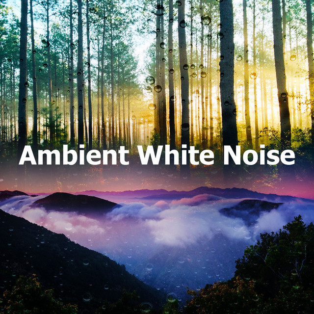 Ambient White Noise - Album by Pro Sound Effects Library | Spotify