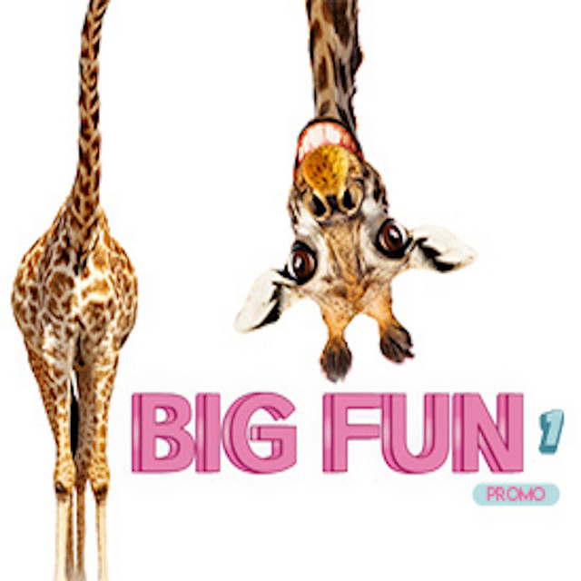 Big Fun 1 (Comedy)