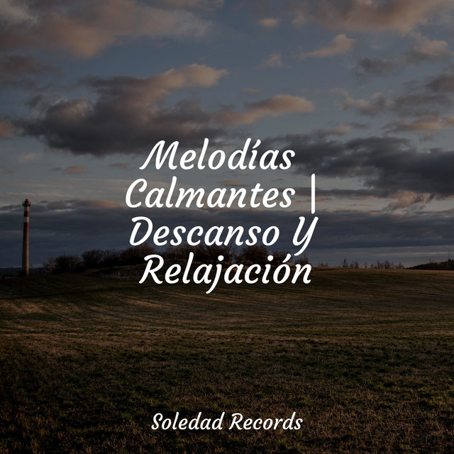 Melodías Calmantes | Descanso Y Relajación