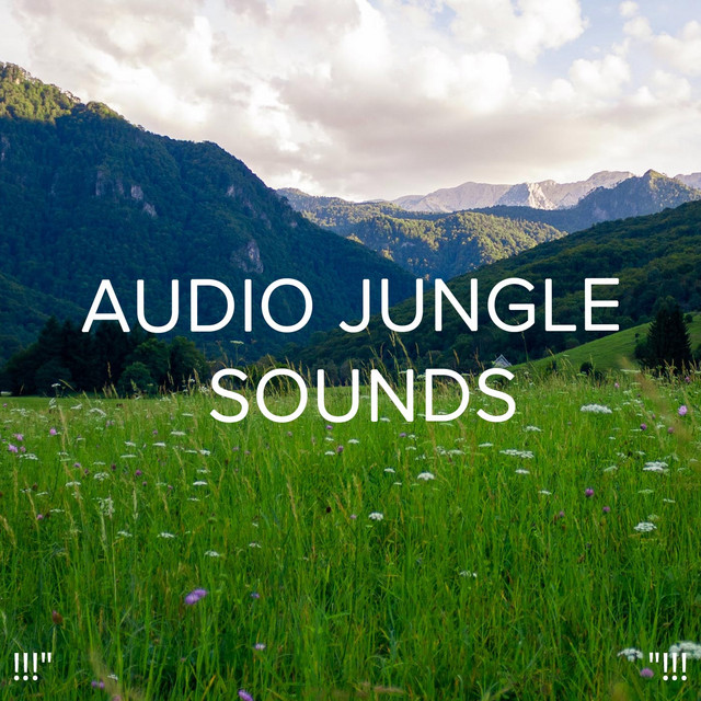 !!!" Audio Jungle Sounds "!!! cover art