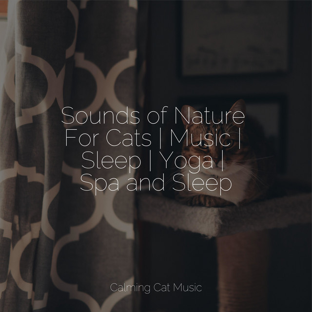 Sounds of Nature For Cats | Music | Sleep | Yoga | Spa and Sleep ...