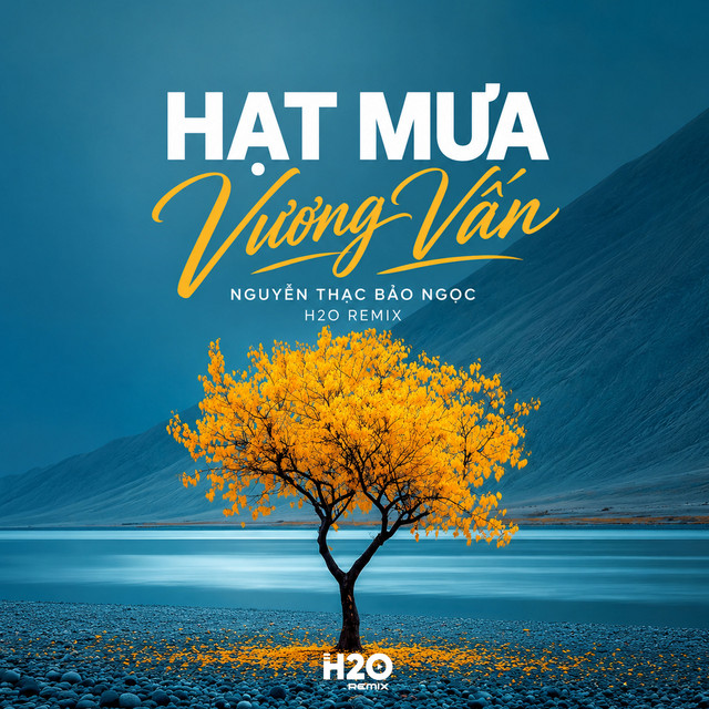 Hạt Mưa Vương Vấn (Remix) album image