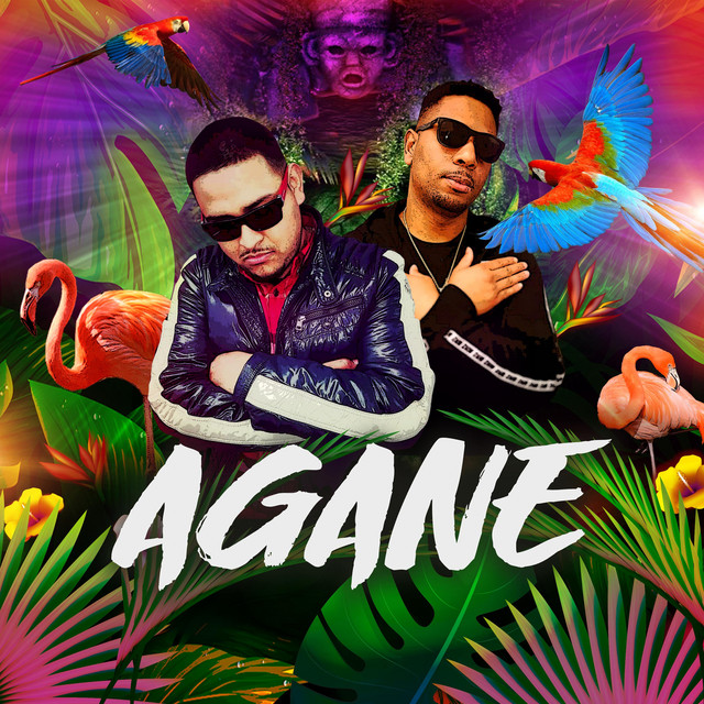 Agane