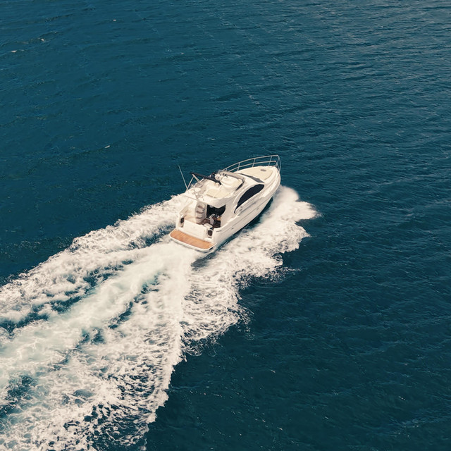 Desahogo 5
