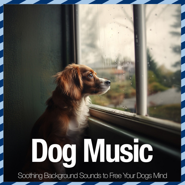 Dog Music - Soothing Background Sounds to Free Your Dogs Mind cover art