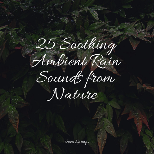 25 Soothing Ambient Rain Sounds from Nature - Album by Best Relaxing ...
