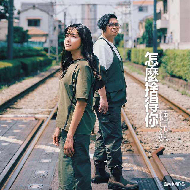 怎麼捨得你 (音樂永續作品) cover