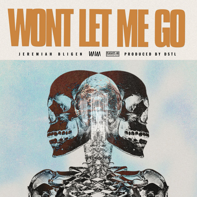 WON'T LET ME GO