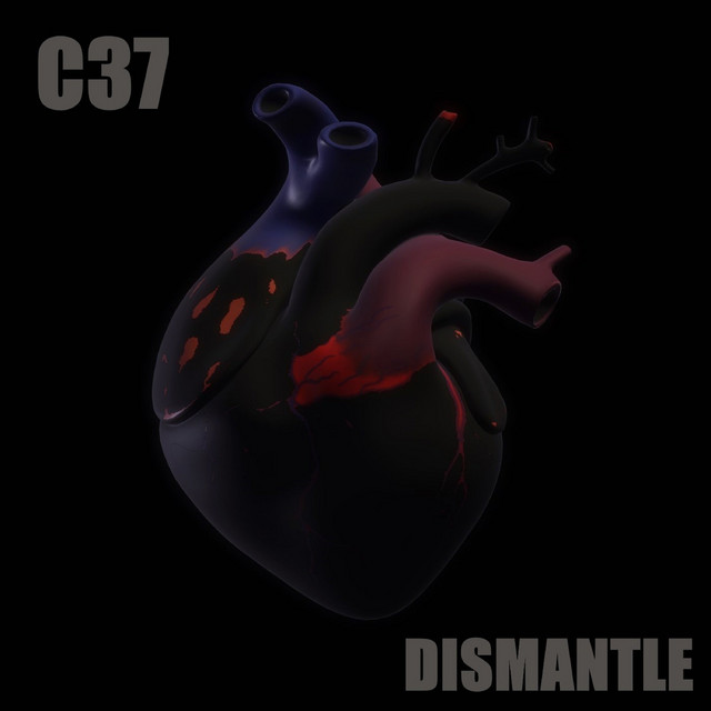 Dismantle cover art