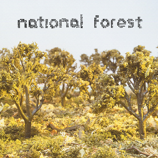 National Forest Photo