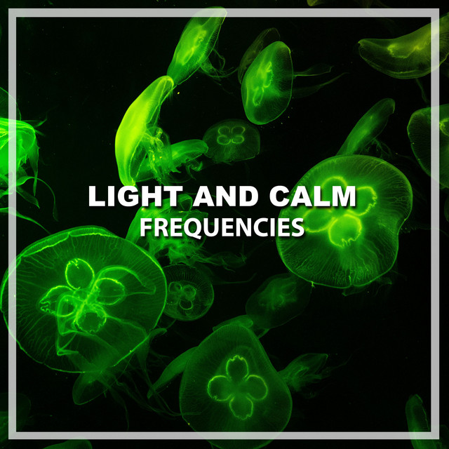 #2018 Light and Calm Frequencies cover art