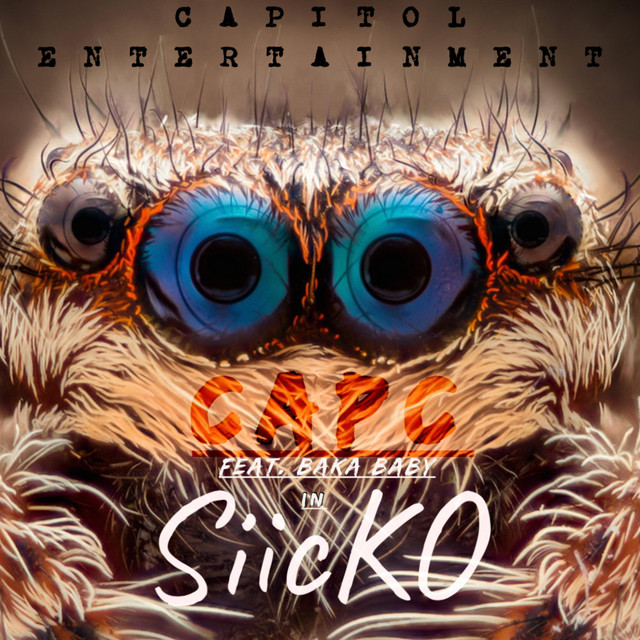 Siicko cover art
