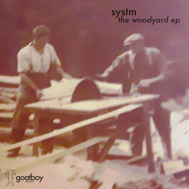 DJ systM