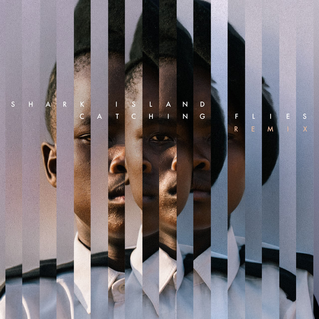 Shark Island (Catching Flies Remix) artwork