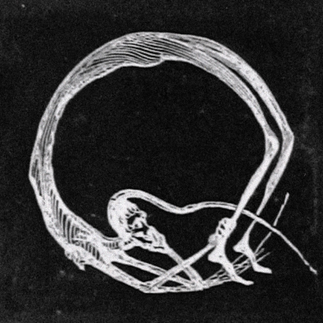 Skellum cover art