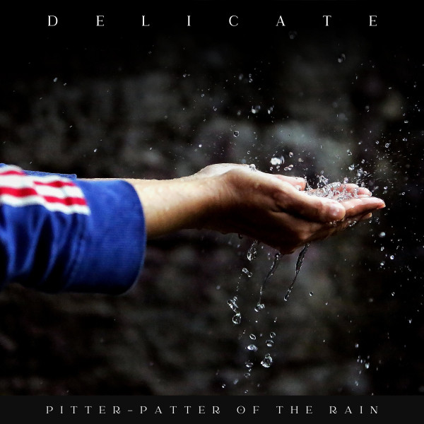 Delicate Pitter-patter of the Rain cover art