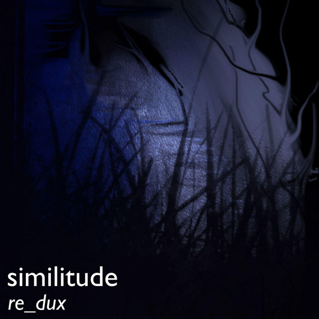 Similitude cover art