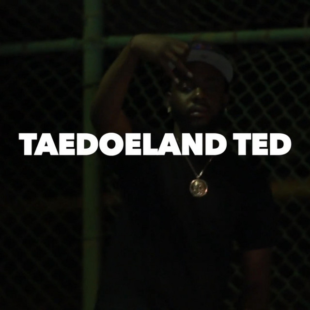Taedoeland Ted | Spotify