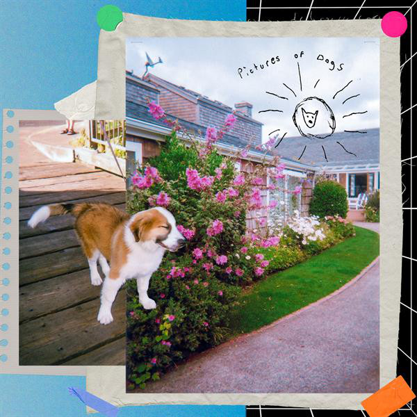 Pictures of Dogs cover art