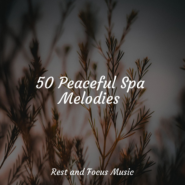 50 Peaceful Spa Melodies - Album by Study Music | Spotify