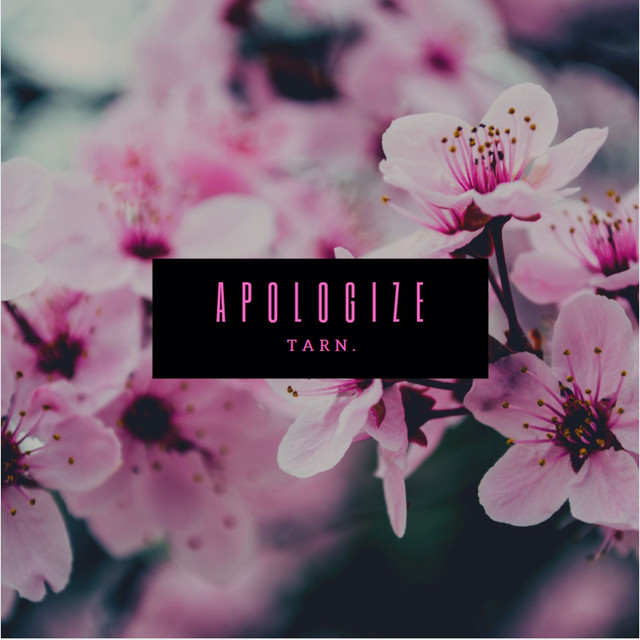 Apologize cover art
