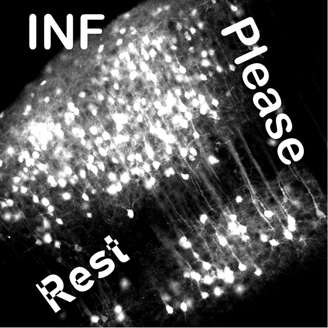 Rest cover art