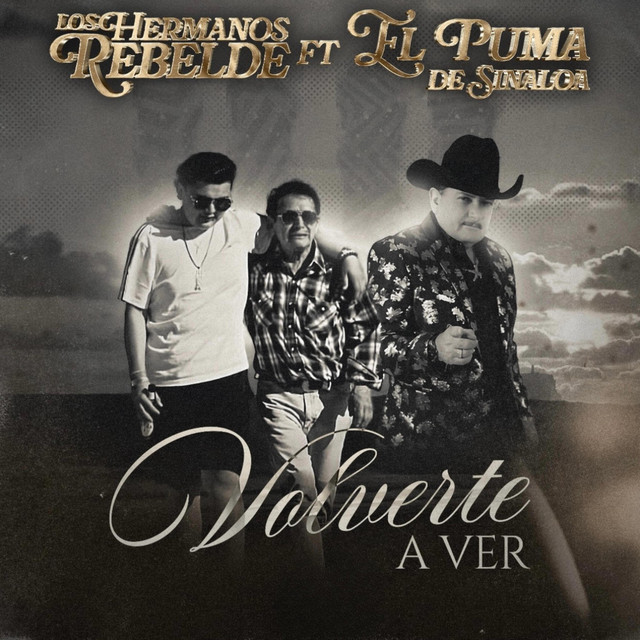Volverte a ver