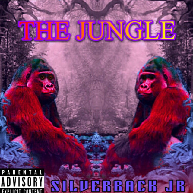 SILVERBACK JR