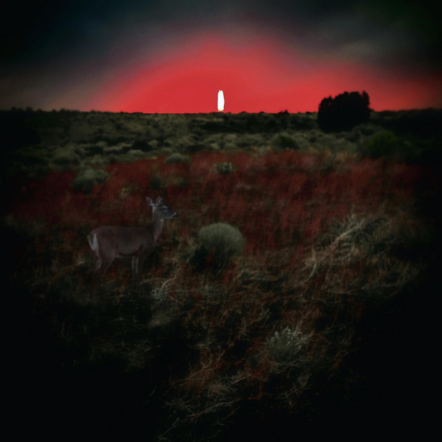 Things go quiet cover art